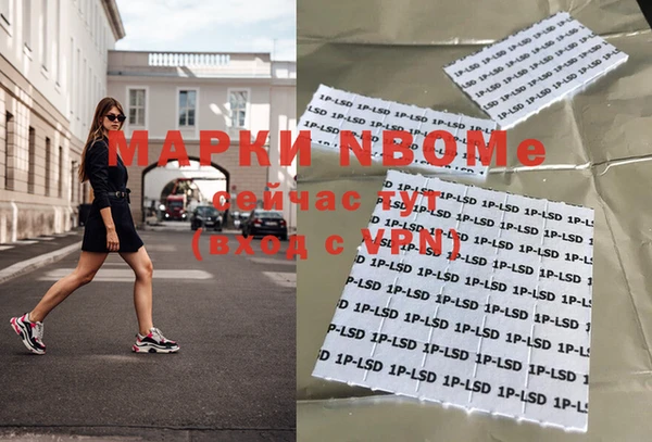 ПСИЛОЦИБИНОВЫЕ ГРИБЫ Заводоуковск