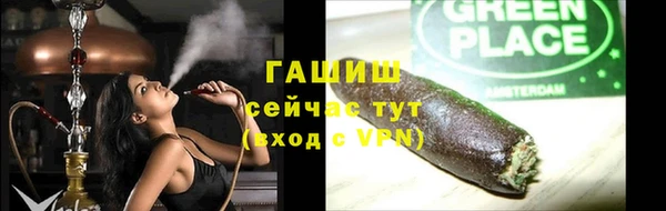 ПСИЛОЦИБИНОВЫЕ ГРИБЫ Заводоуковск