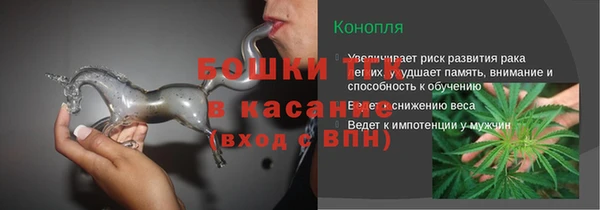 ПСИЛОЦИБИНОВЫЕ ГРИБЫ Заводоуковск
