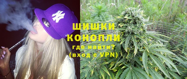 ПСИЛОЦИБИНОВЫЕ ГРИБЫ Заводоуковск