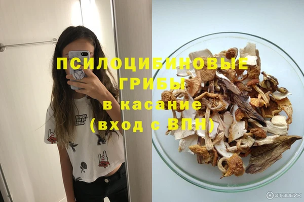 ПСИЛОЦИБИНОВЫЕ ГРИБЫ Заводоуковск