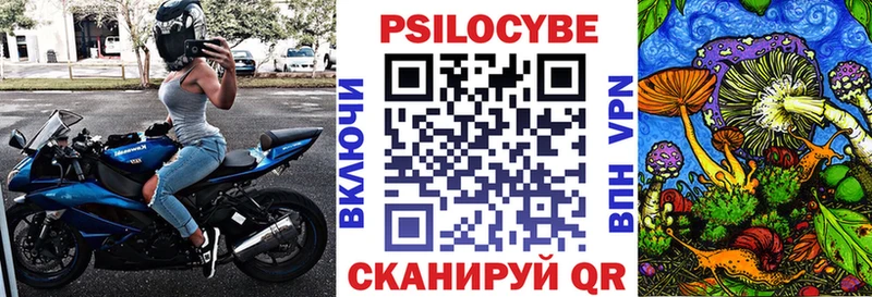 Псилоцибиновые грибы мицелий  Купить  Приволжск 