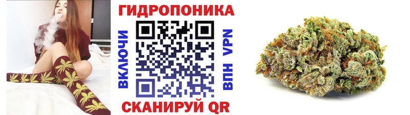 МАРИХУАНА планчик  Купить где  Приволжск 